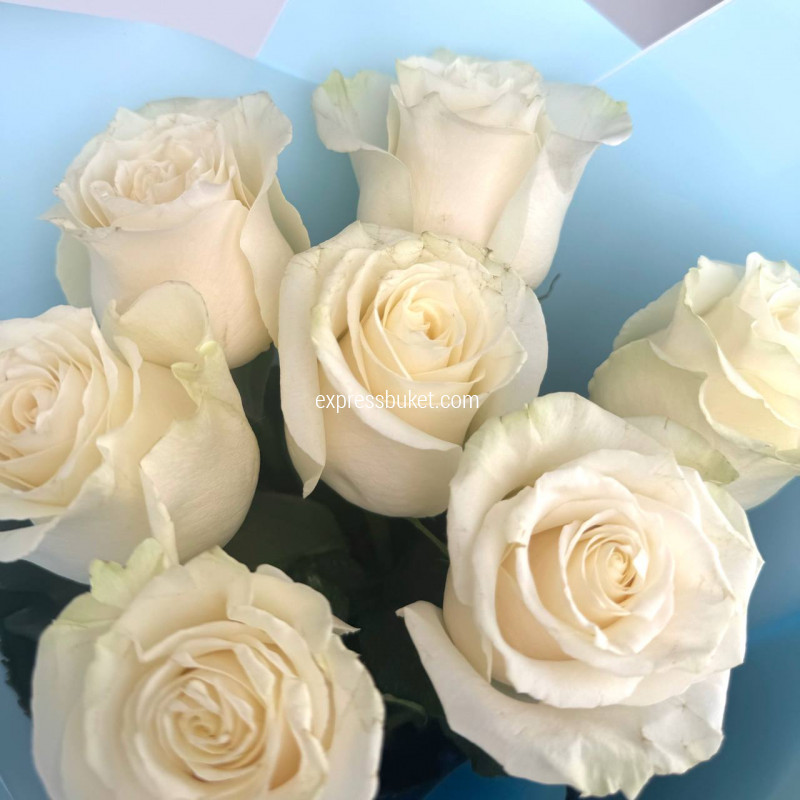 Седьмое небо