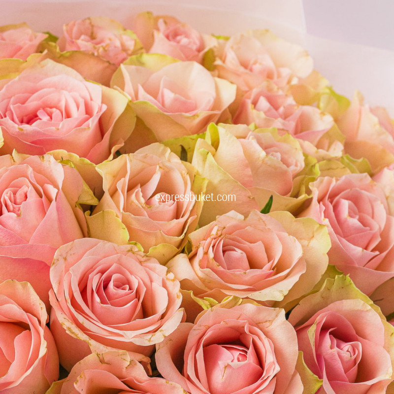 Розовый стиль 25 роз