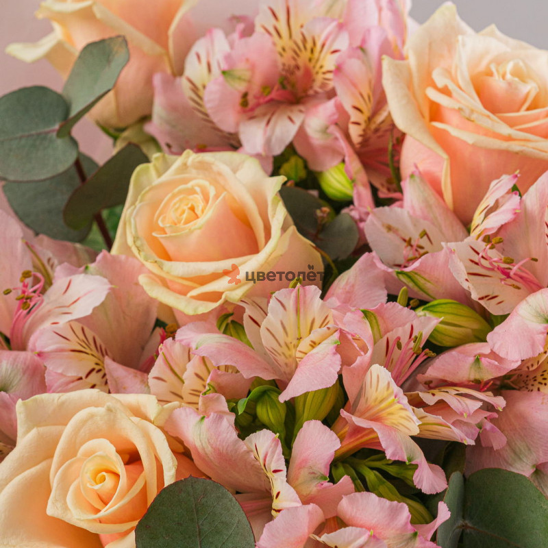 Цвет твоей души